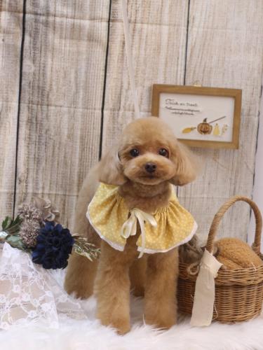 20241013ララちゃん